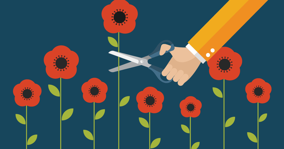 You are currently viewing Tall Poppy Syndrome in the Workplace!